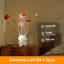 Lampe de table décorative, DEL, roses rouges, vase carré en cristal, chrome 21 po