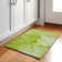 Premium Machine Washable Cerrito AMF507 Green Rug