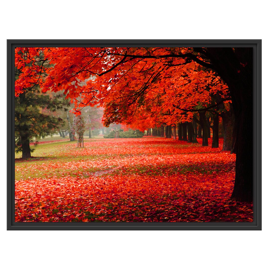 Gerahmtes Wandbild Rot gefärbter ParkHerbst