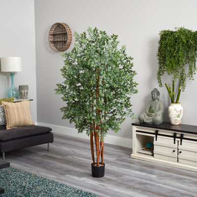 5 pi. Arbre artificiel Aralia