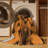 Prairie Steps Rug-445683683