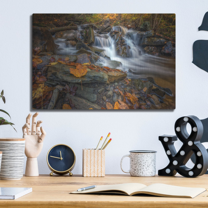 Mur en métal Millwood Pines «Fallen Leaf In Ricketts Glen» par Rick Berk, H 12 po x l 16 po
