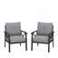 Ensemble de 2 fauteuils en métal toutes saisons, structure avec coussins-1201755447-1201755445