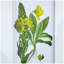 Ensemble de 4 fleurs murales botaniques, décoration pour le salon, la salle à manger, la chambre à coucher, le couloir, 20 po x 28 po