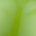Shiny Apple Green