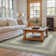 Dailee Braided Jute Non-Shedding Gray Rug