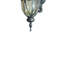 Lanterne murale d'extérieur 1 lumière Erickson-25751220