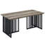 Jessa Double T Metal Base Coffee Table, Antique Oak And Black
