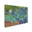 «Irises 1889» par Vincent van Gogh - reproduction-653021671-641669909-641669928