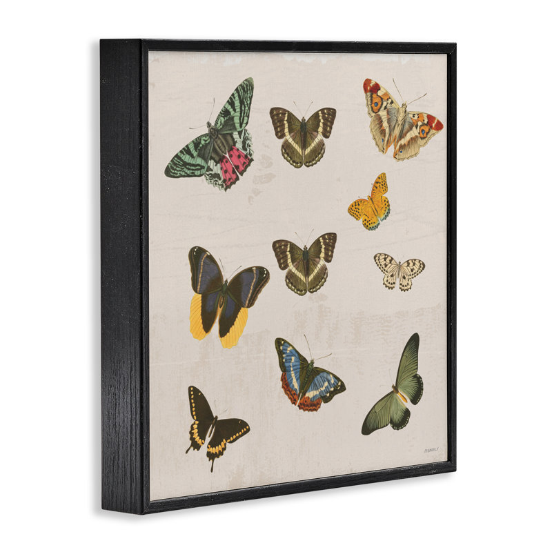 Giclée antique encadrée, conception de Dan Meneely, Giclée encadrée noir minuit, H 12 po x l 12 po