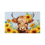 Kitchen Mat