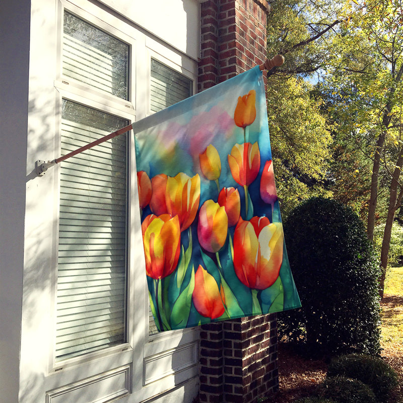 Double Sided 40'' H x 28'' W Polyester House Flag