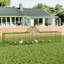 5m² Walk In Chicken Coop For Up To 12 Chickens