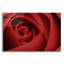 «Red Rose» par Tom Quartermaine-1937692972