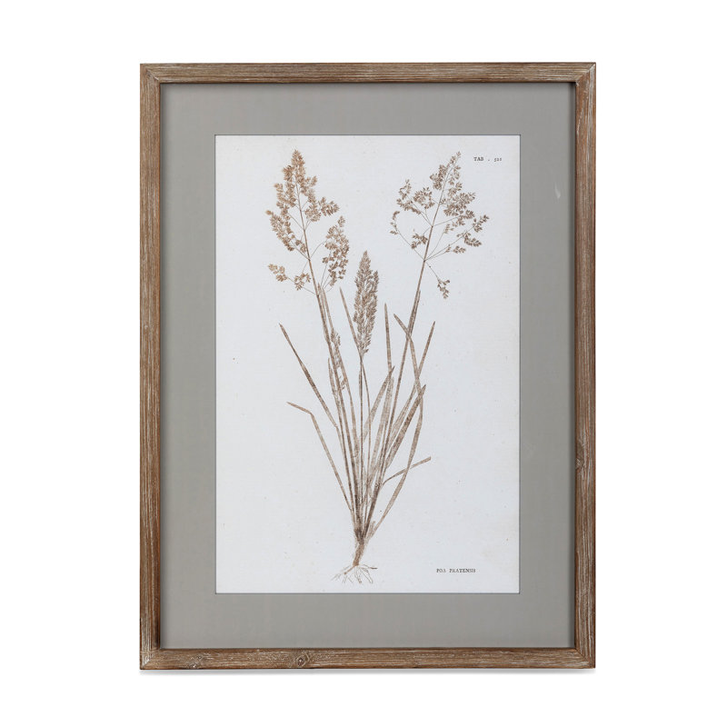 Framed Botanical Print