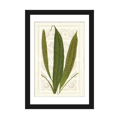 « jardin ferns vi », reproduction d’impression sur toile tendue