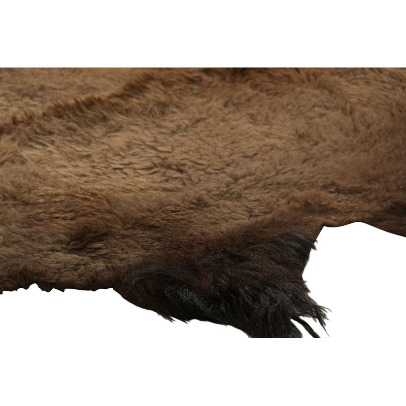 Rug & Kilim’S American Bison Hide Fur Rug In Chocolate Brown Tones