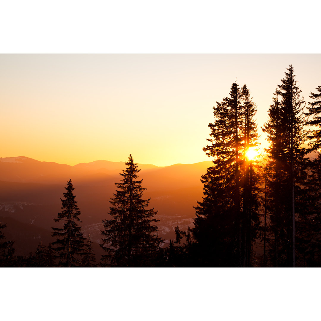 Winter Sun von YouraPechkin - Druck auf Leinwand ohne Rahmen