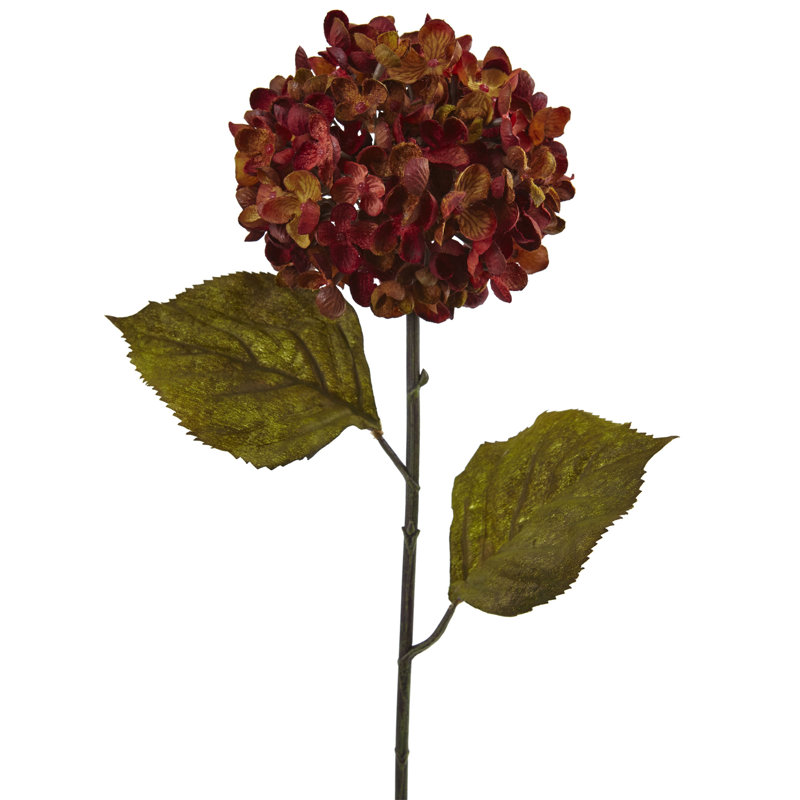 Tige de hortensia automne, Rouille
