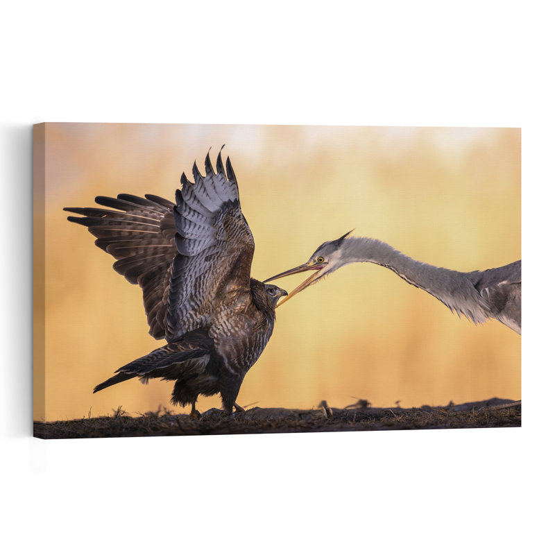 Heron Buzzard Confrontation Contemporary Bird Wall Art Print 1 Piece Wrapped Canvas Wall Art, 30.48cm H x 45.72cm W