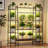 11-Tier Wooden Plant Stand With 8 Grow Lights