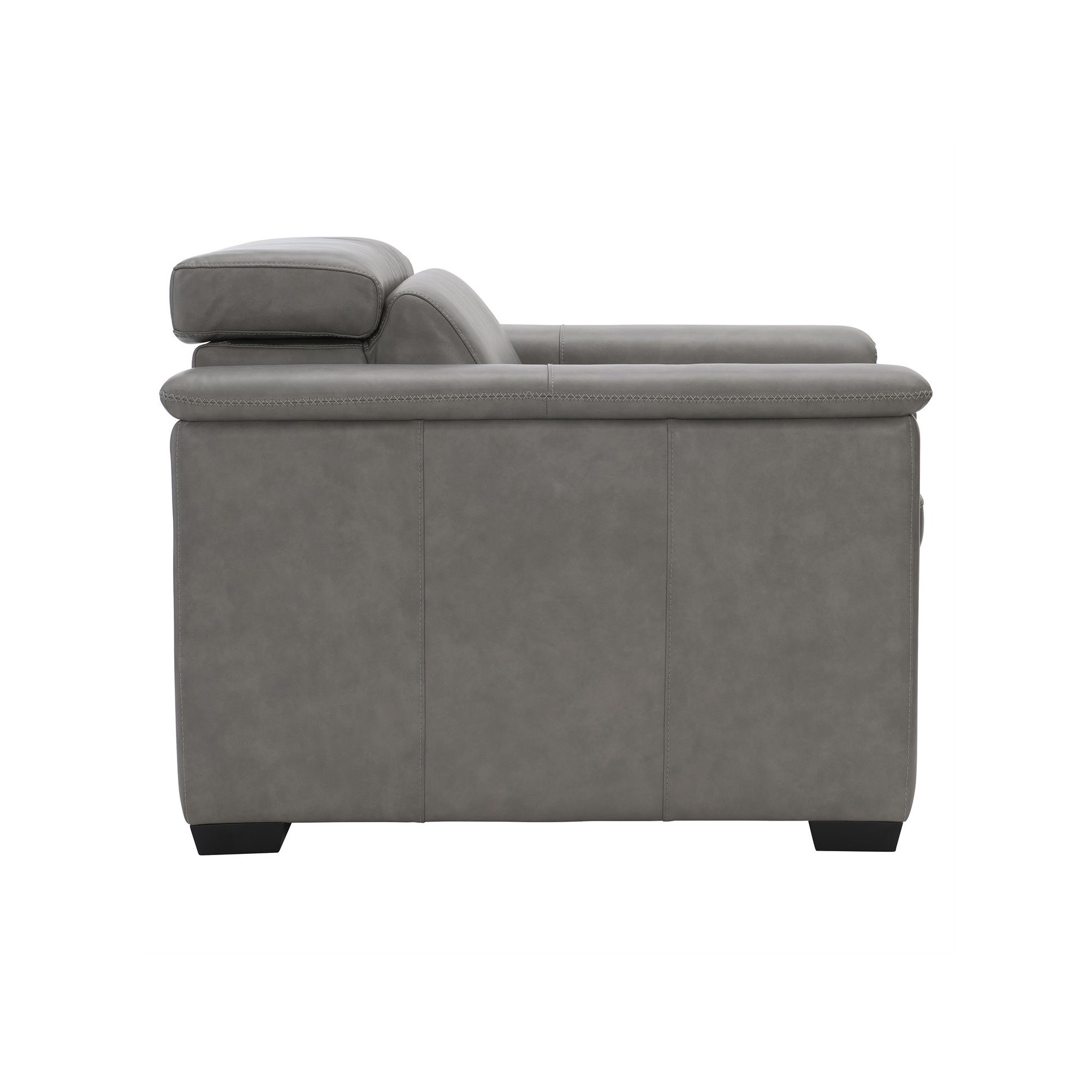 Lioni 44" W Club Chair, Gray