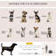 Folding Pet Carrier Bag House with Cushion Storage-96465152