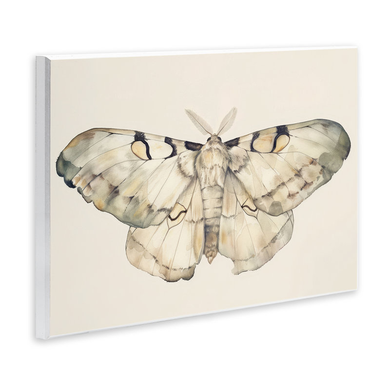 «Dusty Beige Moth», plaque murale par Petal Prints Design, H 10 po x l 15 po