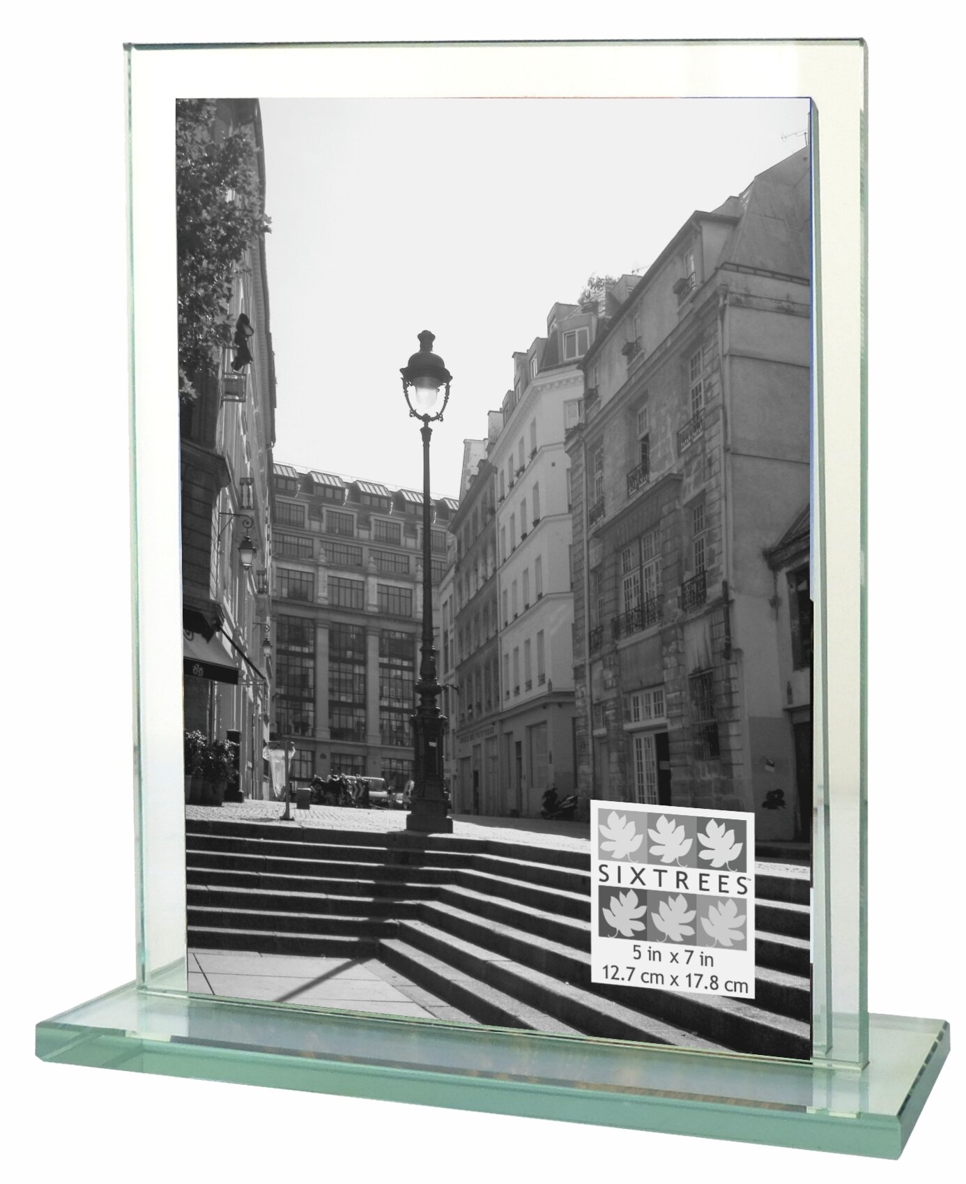 https://assets.wfcdn.com/im/08701805/compr-r85/7276/72765828/lisa-glass-picture-frame.jpg