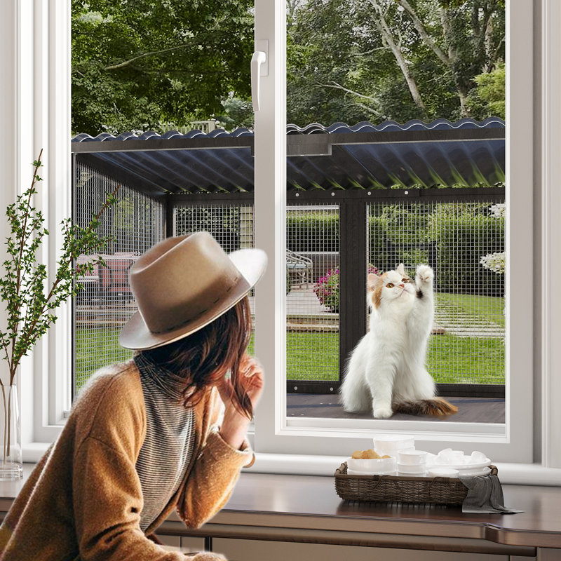 Enclos d'extérieur pour chat, Gris
