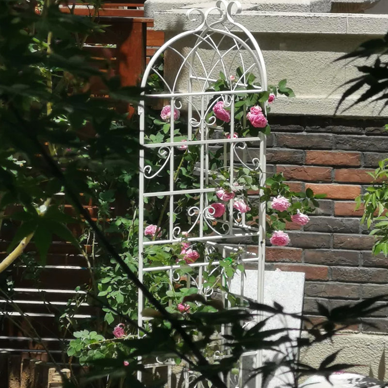 Ensemble de 4 treillis de jardin en métal 71 po x 19,7 po antirouille blanc crème, assemblage sans effort, 19,7 po 4 po, facile à assembler