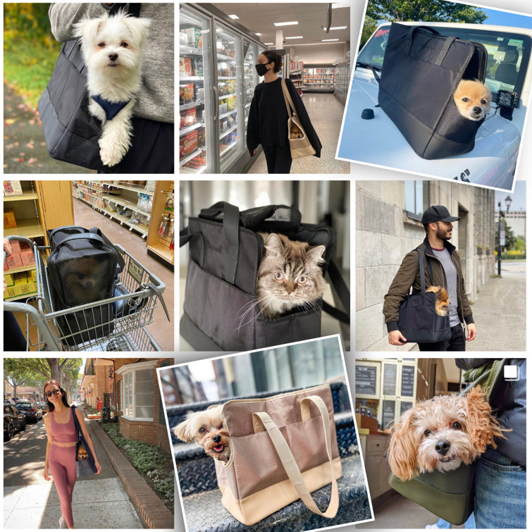 The 9 Best Airline-Approved Pet Carriers, Tested and Reviewed