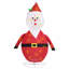 Indoor / Outdoor Holiday Lighting-243924010