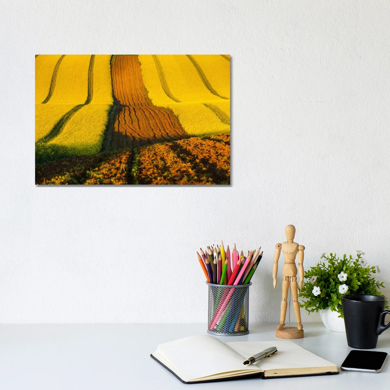 Czech Republic, Moravia, Rapeseed Field II 1 Piece Wrapped Canvas Wall Art, 20.32cm H x 20.32cm W x 1.905cm D