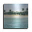 «Paradis II» par Grace Popp-2074116623