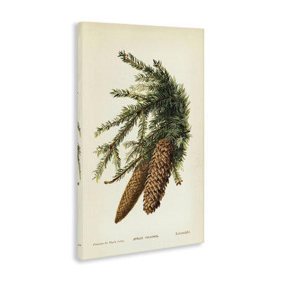  "Spruce & Fir Cones", art mural par Tina Higgins Designs, Inc.