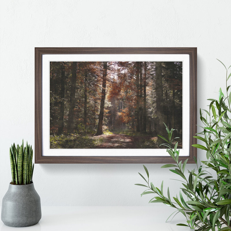 Autumn Forest Vol.4 - Picture Frame Graphic Art, 27cm H x 36cm W x 2cm D, Walnut Framed