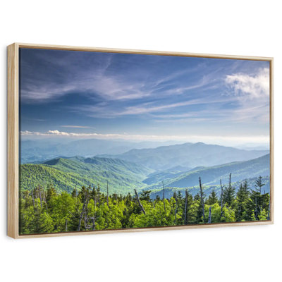 Clingmans Dome Mountainscape