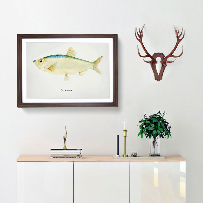 Illustration of a Sardine by F.E. Clarke - Picture Frame Painting Print, 48cm H x 65cm W x 2cm D, Walnut Framed