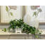 Ochoa Faux Syngonium Plant in Ceramic Vase