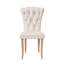 47cm H Velvet Upholstered Side Chair-730896904-730896910