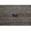 Tapis tribal Gabbeh 8 x 10