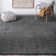 Sisler Performance Indoor Rug
