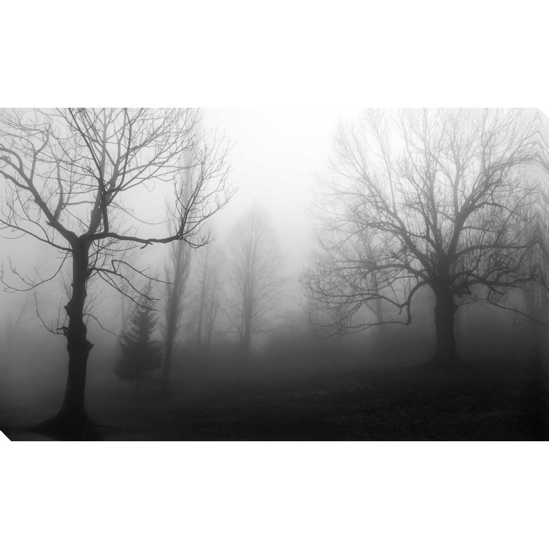 « misty trees », reproduction de photo sur toile tendue, H 18 po x l 30 po x P 1 po