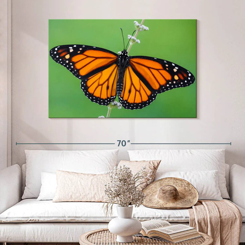 Joli papillon monarque, H 32 po x l 48 po
