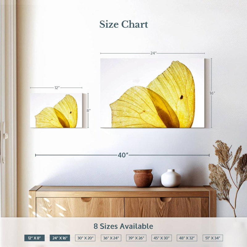 Ailes de papillon Brampt jaune doré, H 16 po x l 24 po
