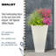 Plant Pot-788838803-804733378
