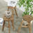 Marquise Solid Wood Accent Stool-1330348410
