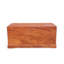 Vintage Beijing Camphor Trunk