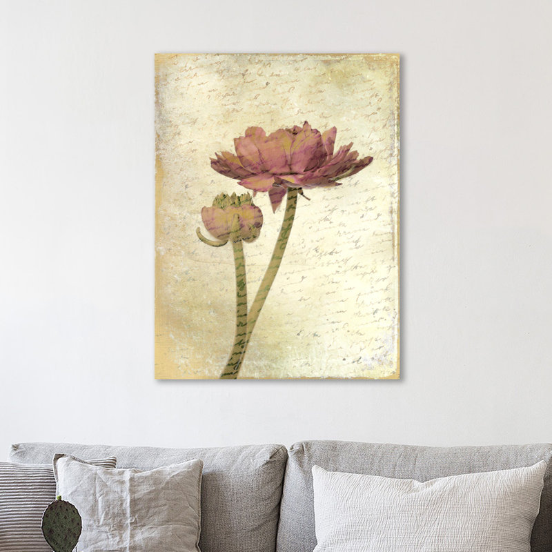 Ranunculus Bloom 1 by Kimberly Allen - Wrapped Canvas Print, 41cm H x 30cm W x 4cm D